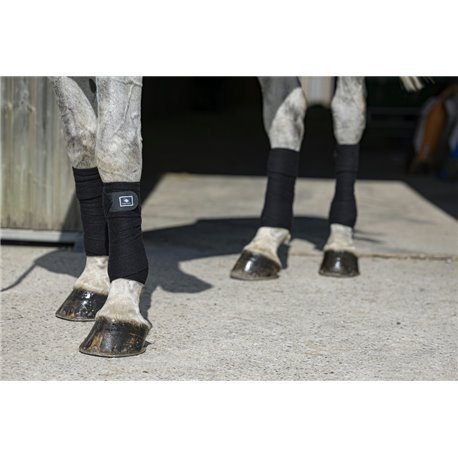 RIDING WORLD „Eco" Polobandagen