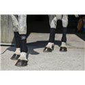 RIDING WORLD „Eco" Polobandagen