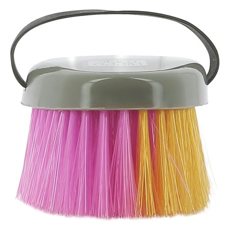 Set de 12 brosses HIPPOTONIC multicolor