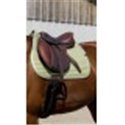 Tapis de selle EQUITHEME "Spring"