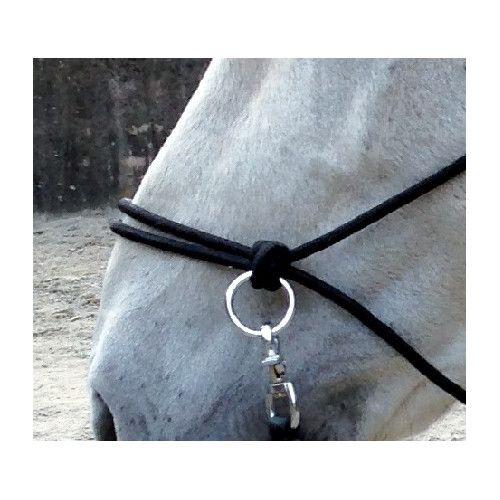 Licol ?thologique avec r?nes 2