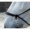 Licol ?thologique avec r?nes