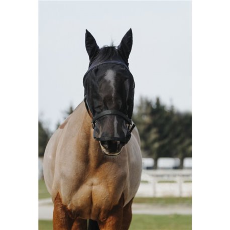 EQUITHÈME Halfter + Antifliegenmaske