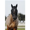 EQUITHÈME Halfter + Antifliegenmaske