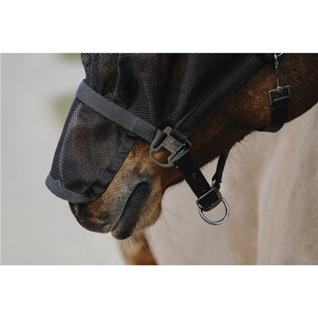 EQUITHÈME Halfter + Antifliegenmaske