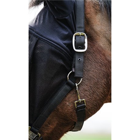 EQUITHÈME Halfter + Antifliegenmaske