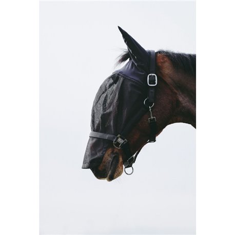 EQUITHÈME Halfter + Antifliegenmaske