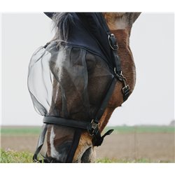 EQUITHÈME Halfter + Antifliegenmaske schutz vor UV-Strahlen 2