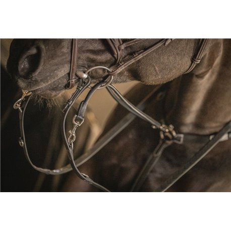 ENR.HOWL.P/MART-COL.PEN.