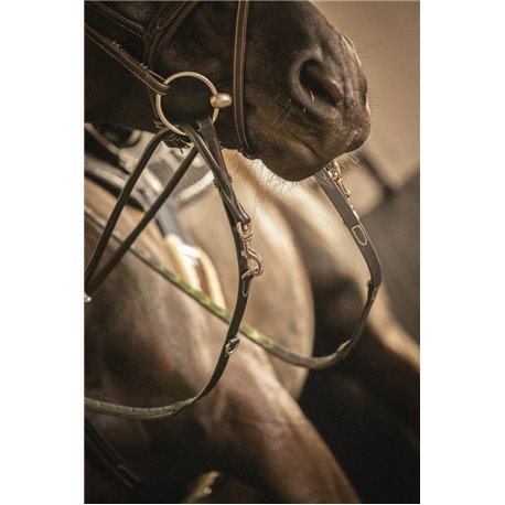 ENR.HOWL.P/MART-COL.PEN.