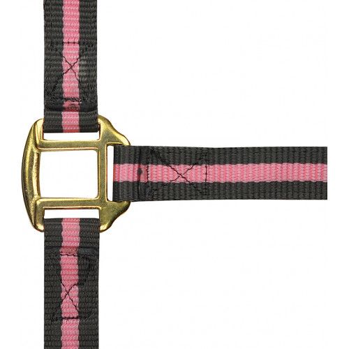 Licol nylon NORTON doublé cuir 2