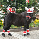 Trensenzaumschoner Weihnachten