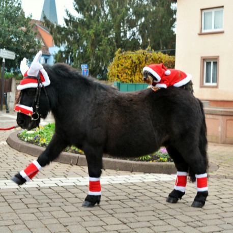 Weihnachtsbandagen