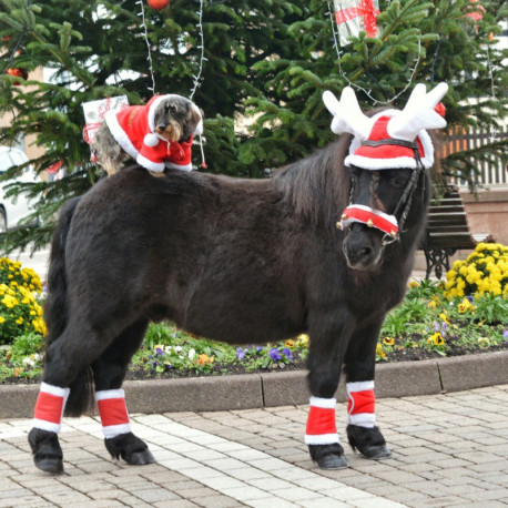 Weihnachtsbandagen