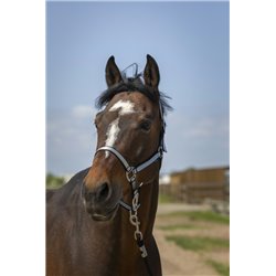 NORTON „Nylon Soft" Halfter 2