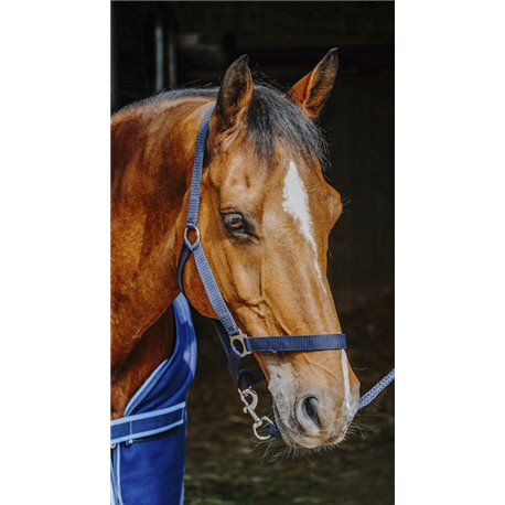 Set complet RIDING WORLD