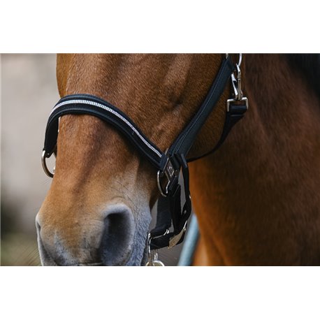 EQUITHEME "Domino" Nylonhalfter