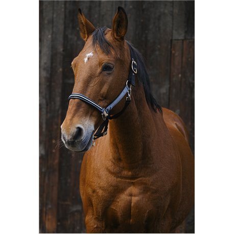 EQUITHEME "Domino" Nylonhalfter