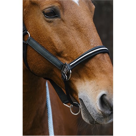 EQUITHEME "Domino" Nylonhalfter