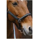 EQUITHEME "Domino" Nylonhalfter