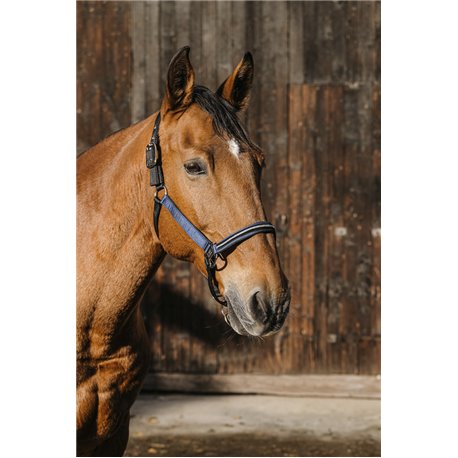 EQUITHEME "Domino" Nylonhalfter
