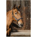 EQUITHEME "Domino" Nylonhalfter