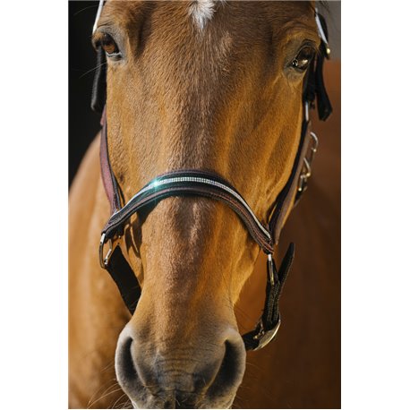 EQUITHEME "Domino" Nylonhalfter