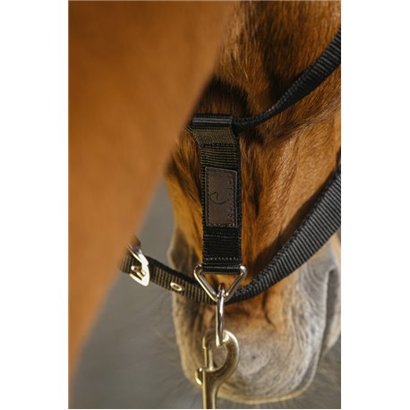 EQUITHEME "Domino" Nylonhalfter
