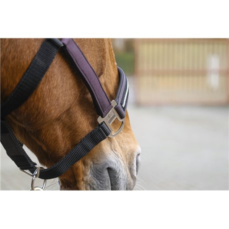 EQUITHEME "Domino" Nylonhalfter