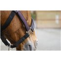 EQUITHEME "Domino" Nylonhalfter