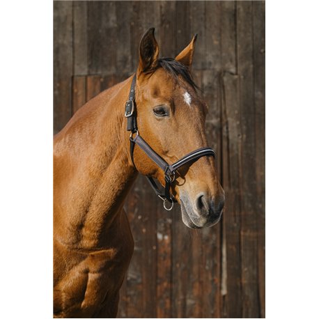 EQUITHEME "Domino" Nylonhalfter