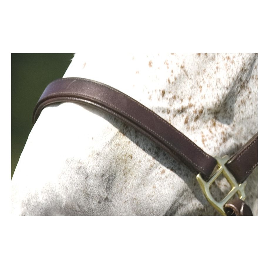 Licol ?? double r?glage