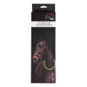 Collier lumineux pour chevaux -LED
