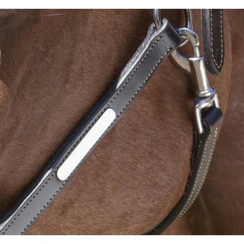 Licol cuir NORTON PRO "Grooming" 2