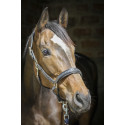 Licol cuir PENELOPE "Point Sellier"