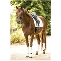 LAMI-CELL "Classic" Sattelpad