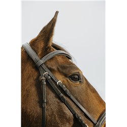 NORTON CLUB "Strass V" Trensenzaum 2