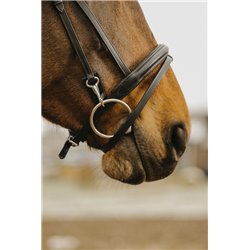 NORTON CLUB ?Easy" Trensenzaum 2