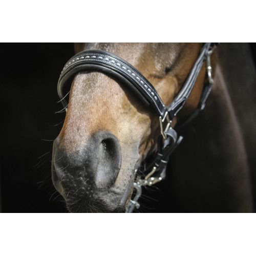 Licol cuir PENELOPE "Point Sellier" 2