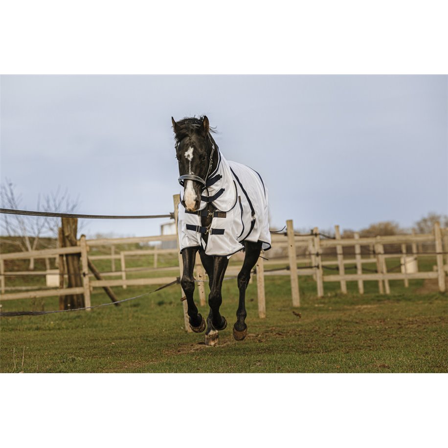 NORTON ?Training? Trensenzaum