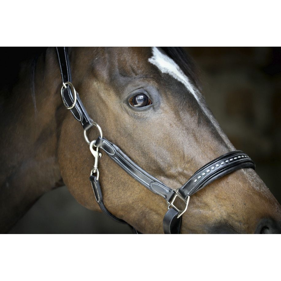 Licol cuir PENELOPE "Point Sellier"