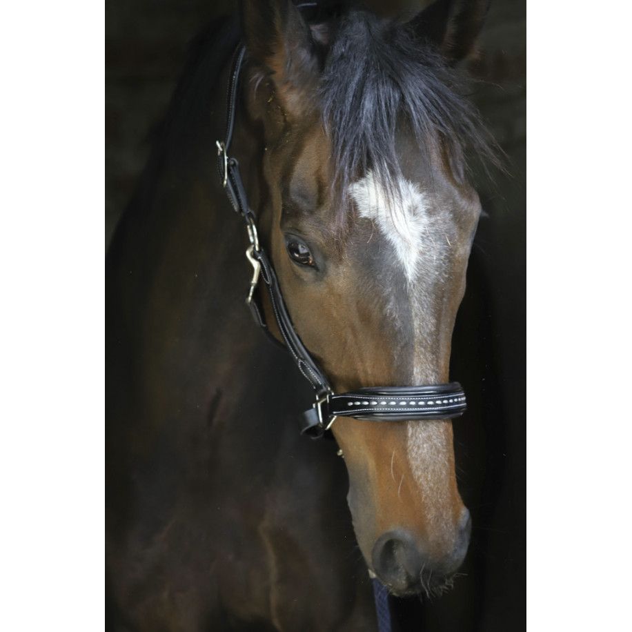 Licol cuir PENELOPE "Point Sellier"