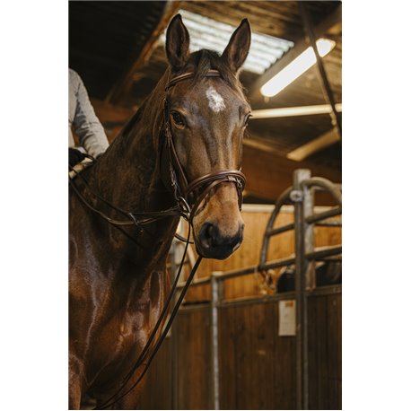 R?nes allemande sangle NORTON PRO 13mm