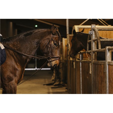 R?nes allemande sangle NORTON PRO 13mm