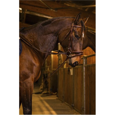 R?nes allemande sangle NORTON PRO 13mm