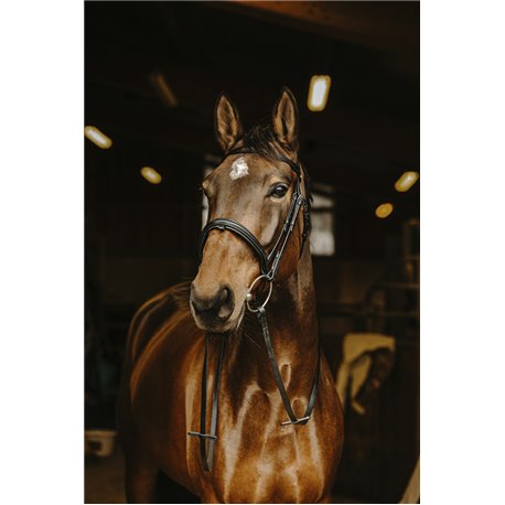 R?nes lisses NORTON PRO Boucle noire