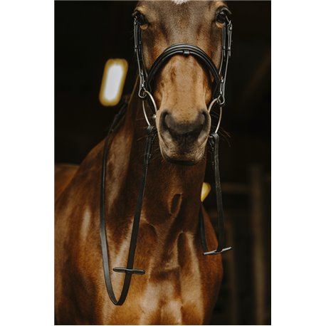 R?nes lisses NORTON PRO Boucle noire