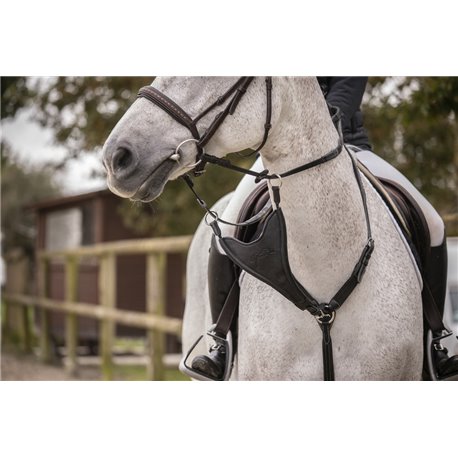 Fl?che de martingale PENELOPE "Bip Plain Elastique"