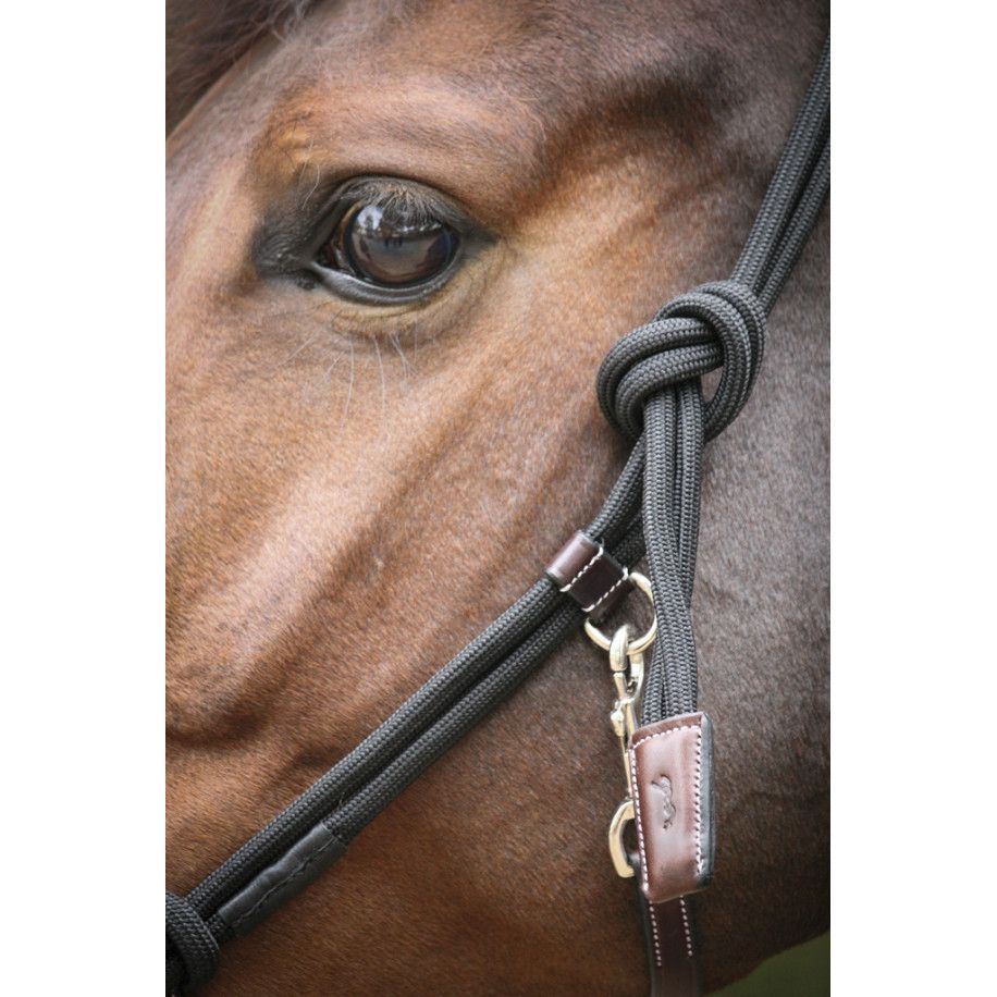 Licol PENELOPE "?thologique"