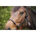Licol PENELOPE "?thologique"